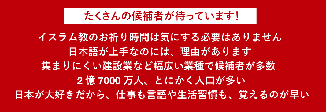 たくさんのインドネシア候補者が待っています